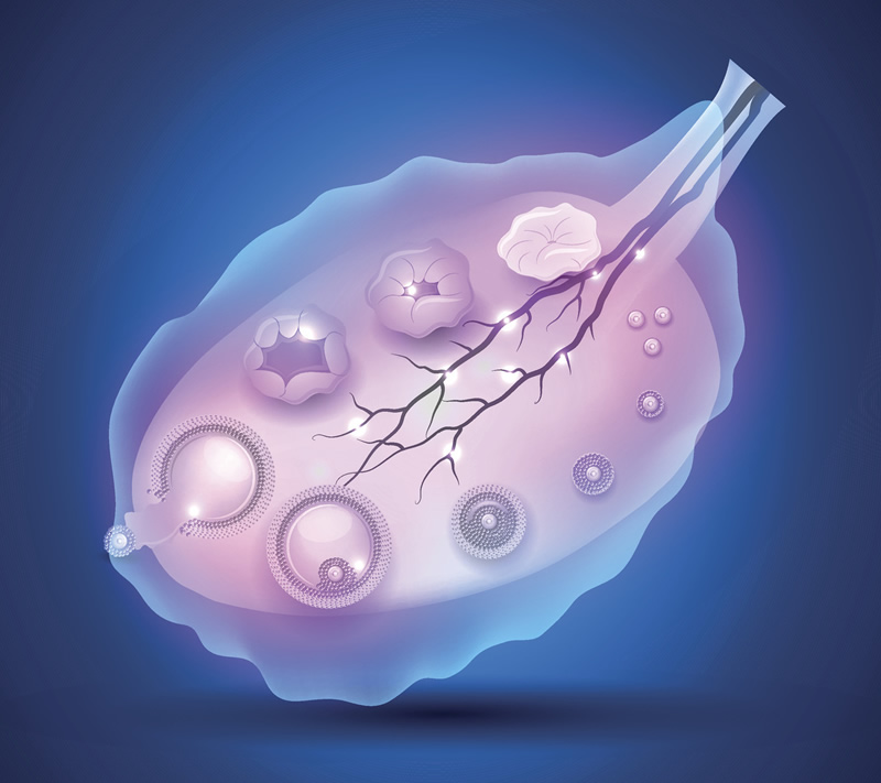 赤峰做试管婴儿的医院选择与费用概况